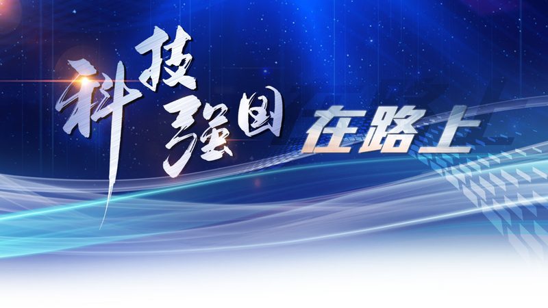 揭秘数据服务公司：十大品牌背后的实力与选择